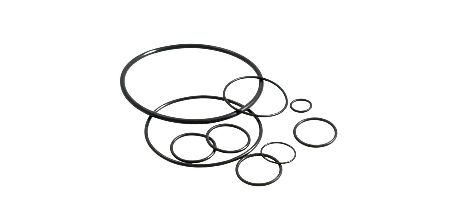 Oil Seals and O- Rings